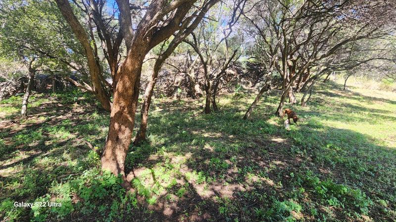 0 Bedroom Property for Sale in Olifantshoek North West